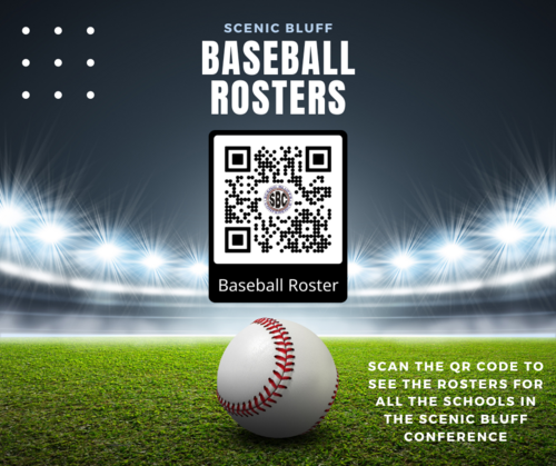 Baseball QR code