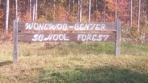 school forest entry sign